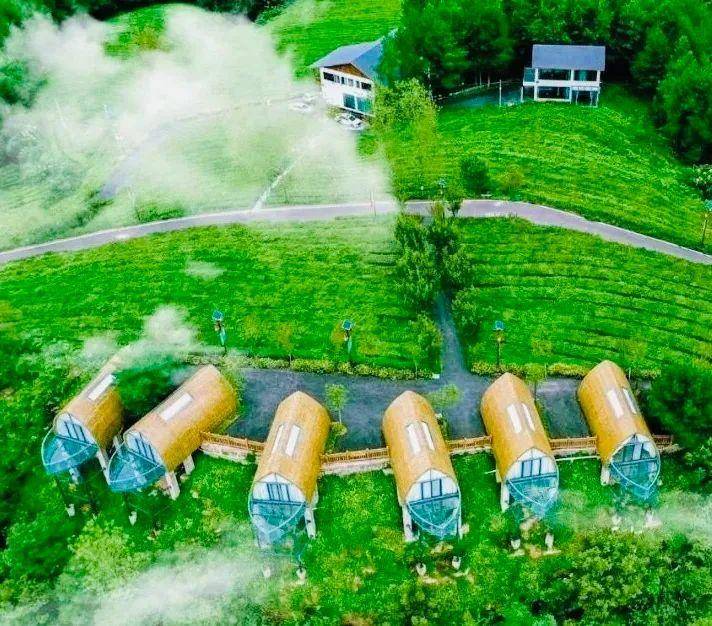 徐长鸿 张庆辉 卷 | 凤凰茶山采风作品_花果_人物_程德全