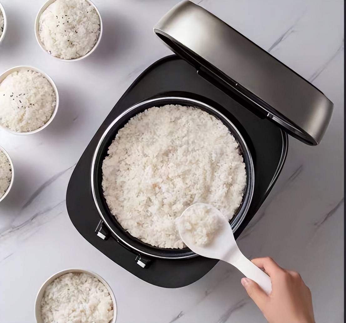 什么品牌电饭煲性价比高?5款专家认可的高质量单品