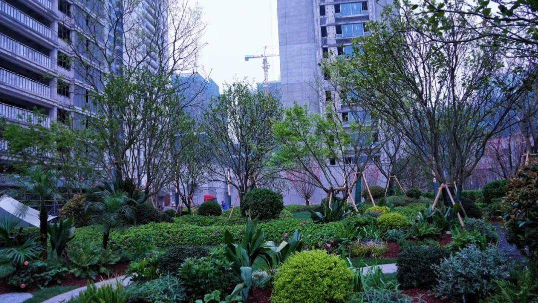 例如,万科联合浙江省亚热带作物研究所共同打造了一座万科植物园,内有