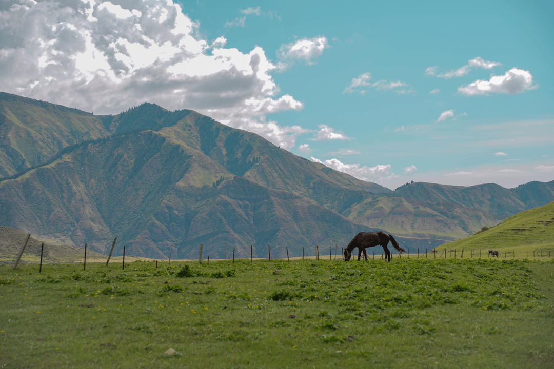 新疆有个绝美塔村,可比那拉提草原,是阿克苏离天山最近的村庄