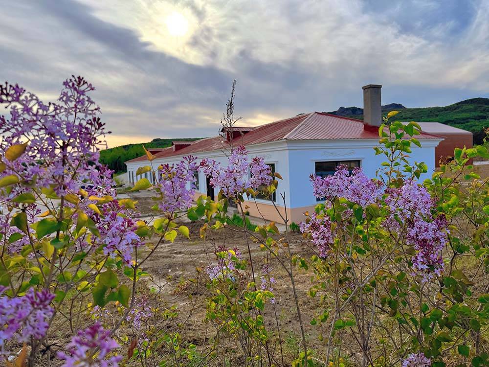 从哈尔滨出发,驱车200公里即可抵达通河县富林镇林胜村的途远米乐谷