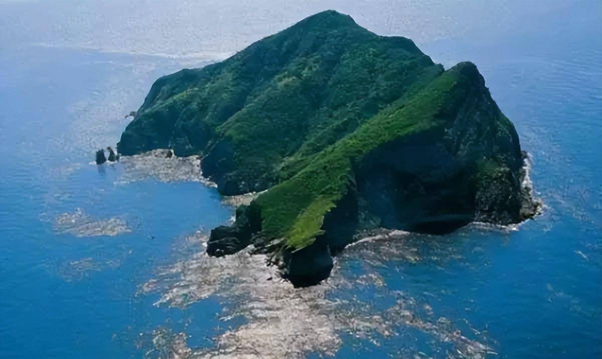 人类禁地巴西蛇岛:岛上毒蛇有4万多条,相比陆地近亲毒5倍