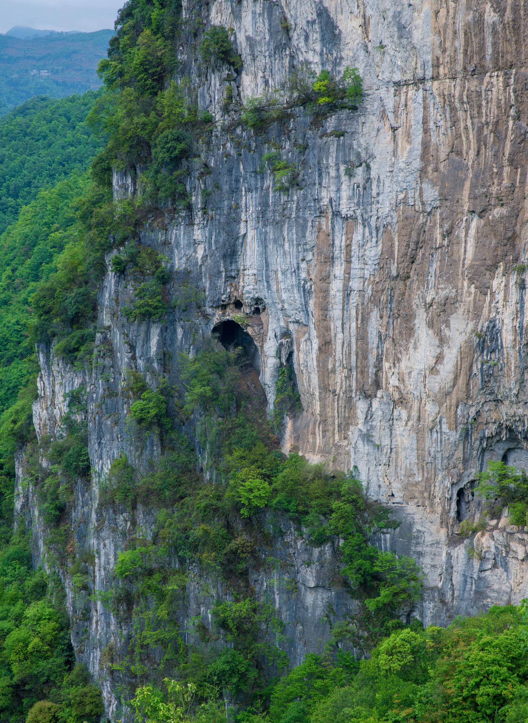 为守护567具棺材,贵州大爷白天搬砖,晚上住洞穴,月薪只有三百