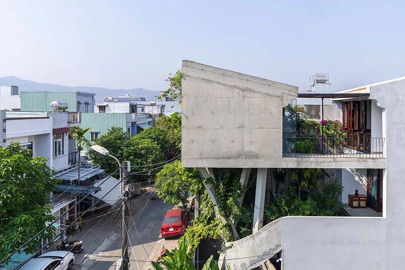 越南nest house / ho khue architects_chien_trieu_建筑