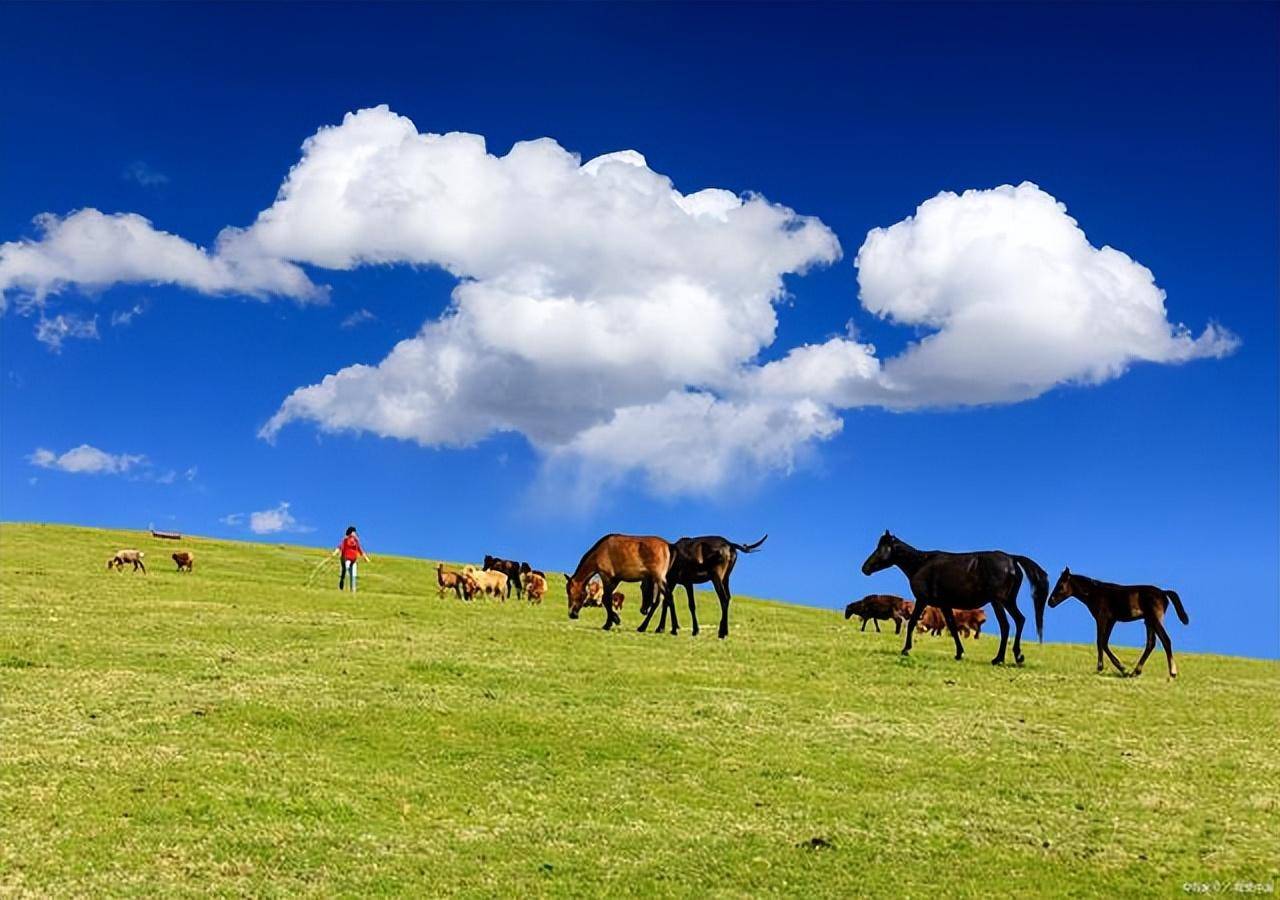 在伊犁游玩一个月的旅游攻略_伊宁_com_http