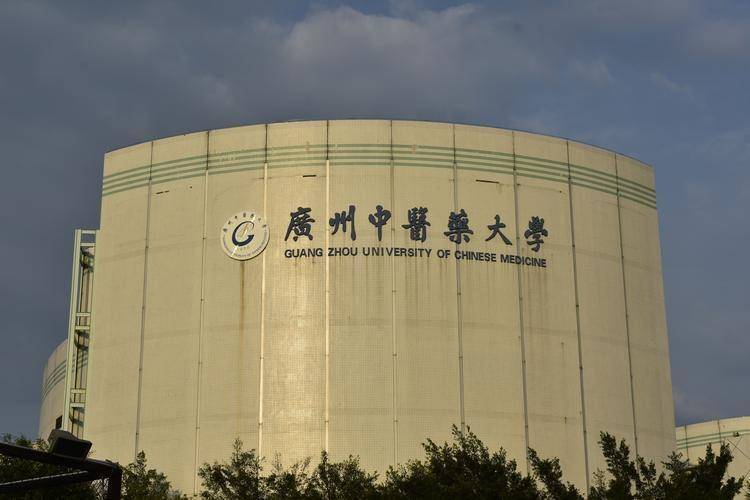 广州中医药大学2024年成人高考招生简章及专业汇总