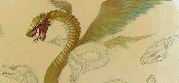 南水北调挖到"石龙",历史超过六千年,考古专家:龙存在