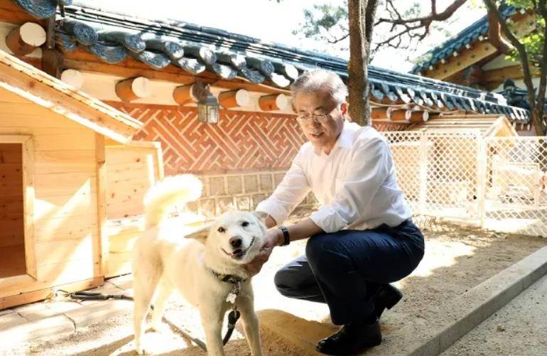 一年吃200万只狗,有世界最大狗肉市场,韩国为啥对吃狗情有独钟