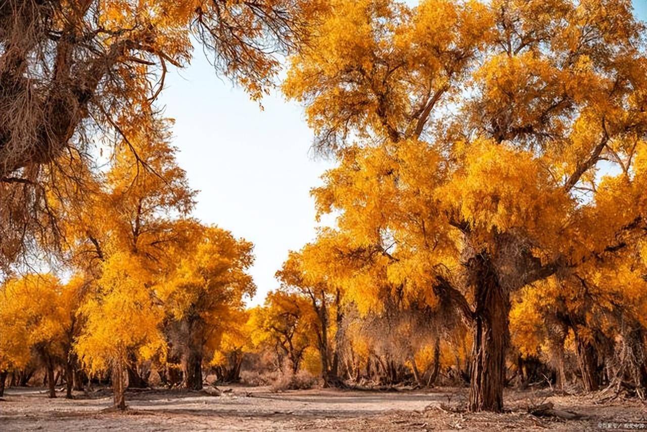 以及往西的于田与和田等古丝路南线上的城镇也有众多历史文化遗迹