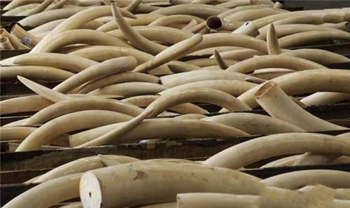 博物馆清理出一张破"凉席",挡去灰尘后,专家大喜:最少2000万