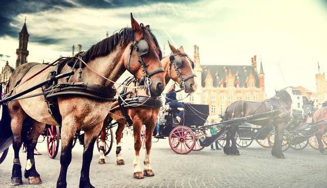 汉高祖刘邦_马车_皇帝