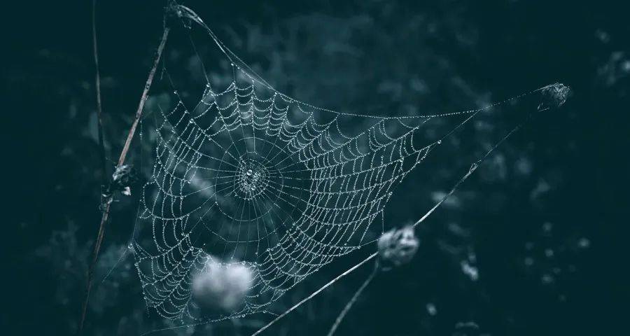 家电激战：美的格力拼技术，海尔海信方太冲品牌，淘宝松下调战略-家电圈官网