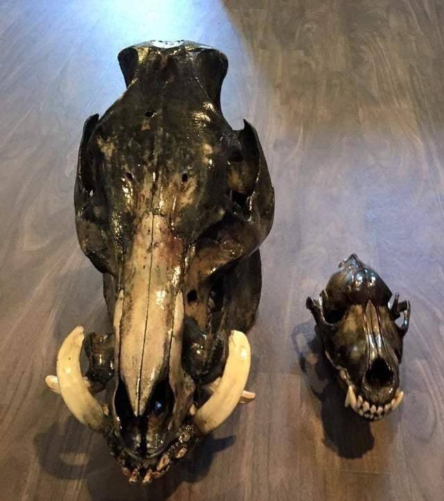 30张罕见的照片,印度一雕像滴"圣水",信徒饮用多年才发现源头