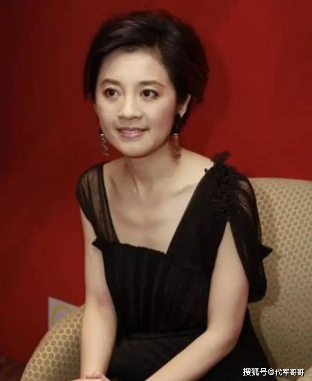 许戈辉_丁健_妻子