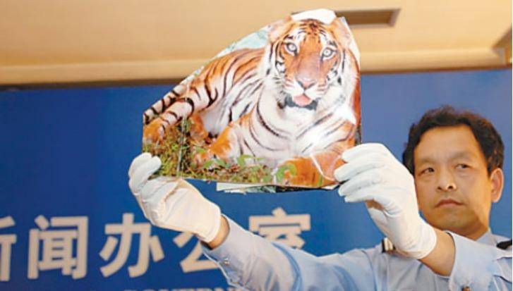 时隔13年,美国麻省理工表示周正龙华南虎照是真的,靠谱吗?