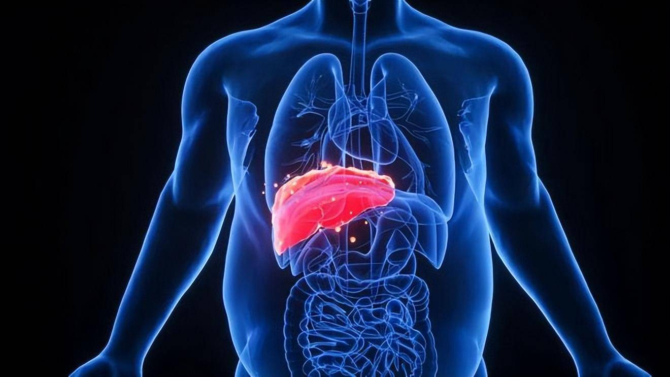 年龄大了要适当忌口!提醒:4种食物,为了健康能少吃就少吃