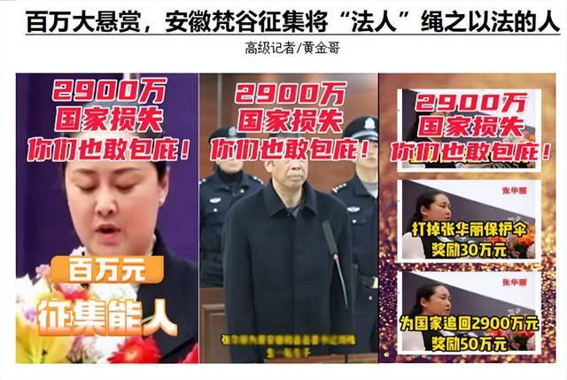 百万大悬赏,安徽梵谷征集将"法人"绳之以法的人_张华丽_置业_刘某