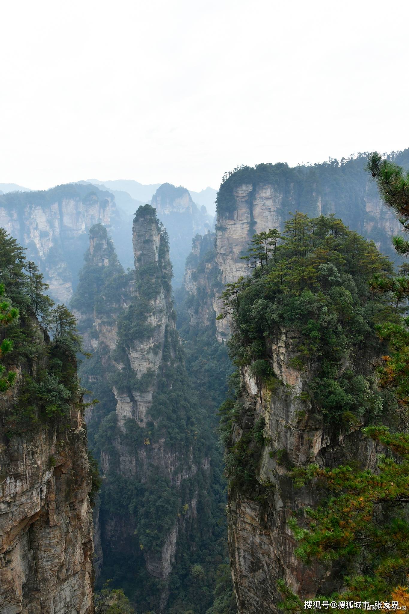 张家界最高的山图片