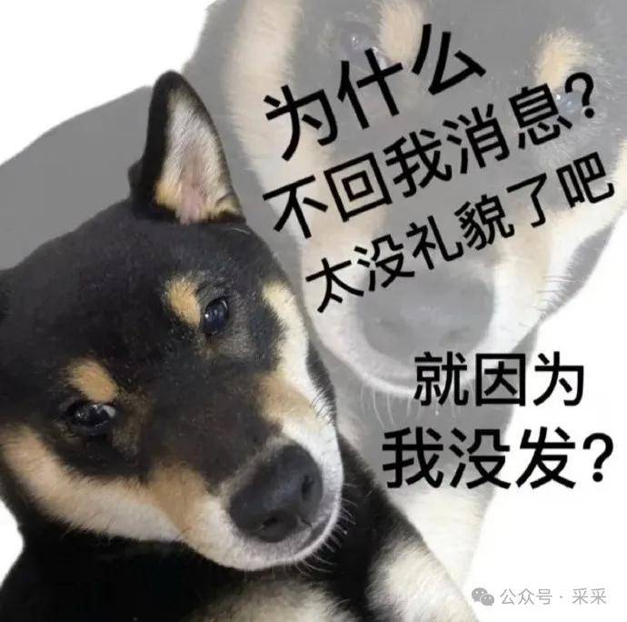 该怎么回前任这条信息?vs三角恋.病情让我们走到了一起!| 搞笑囧图