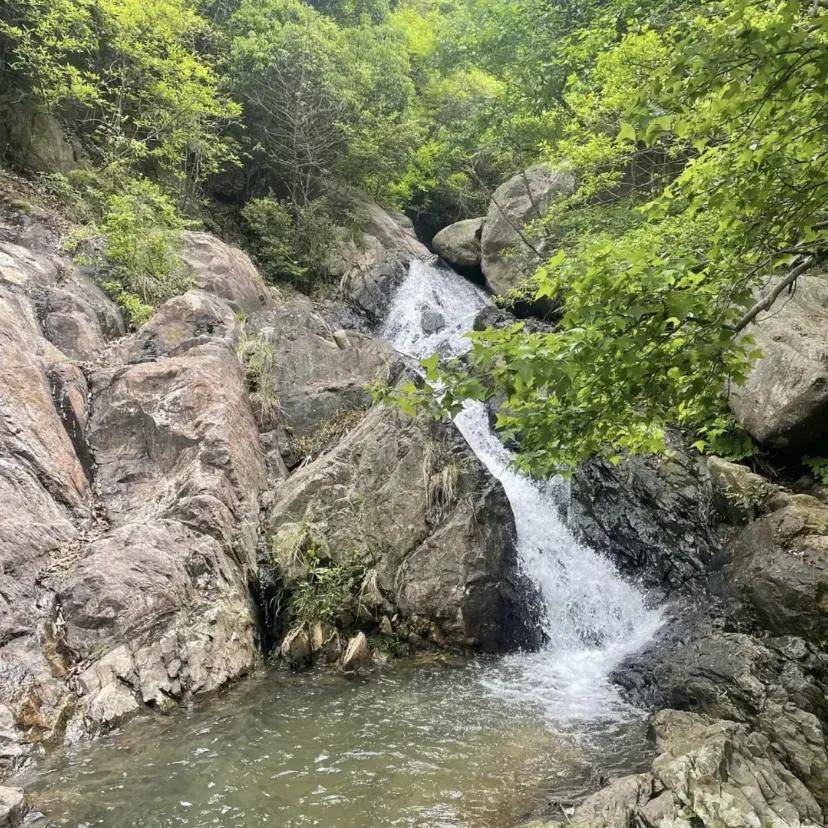 摘杨梅 徒步栲栳山 一路溪水杨梅相伴 徒步栲栳山 溪水瀑布 杨梅!