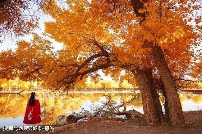 若尔盖草原自驾游，5-7天3种自驾线路，行程安排，住宿，景点介绍自驾草原游住宿