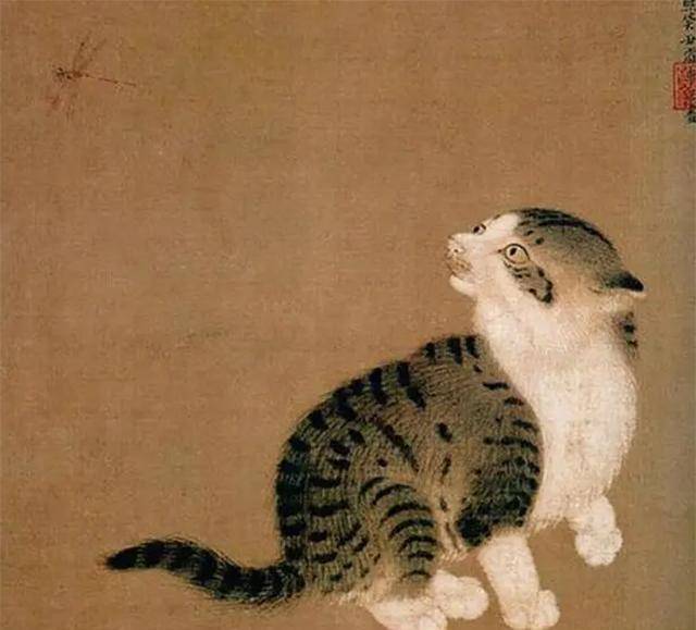 中国人餐桌上为何少见猫肉?其原因,李时珍早就已告诉我们了