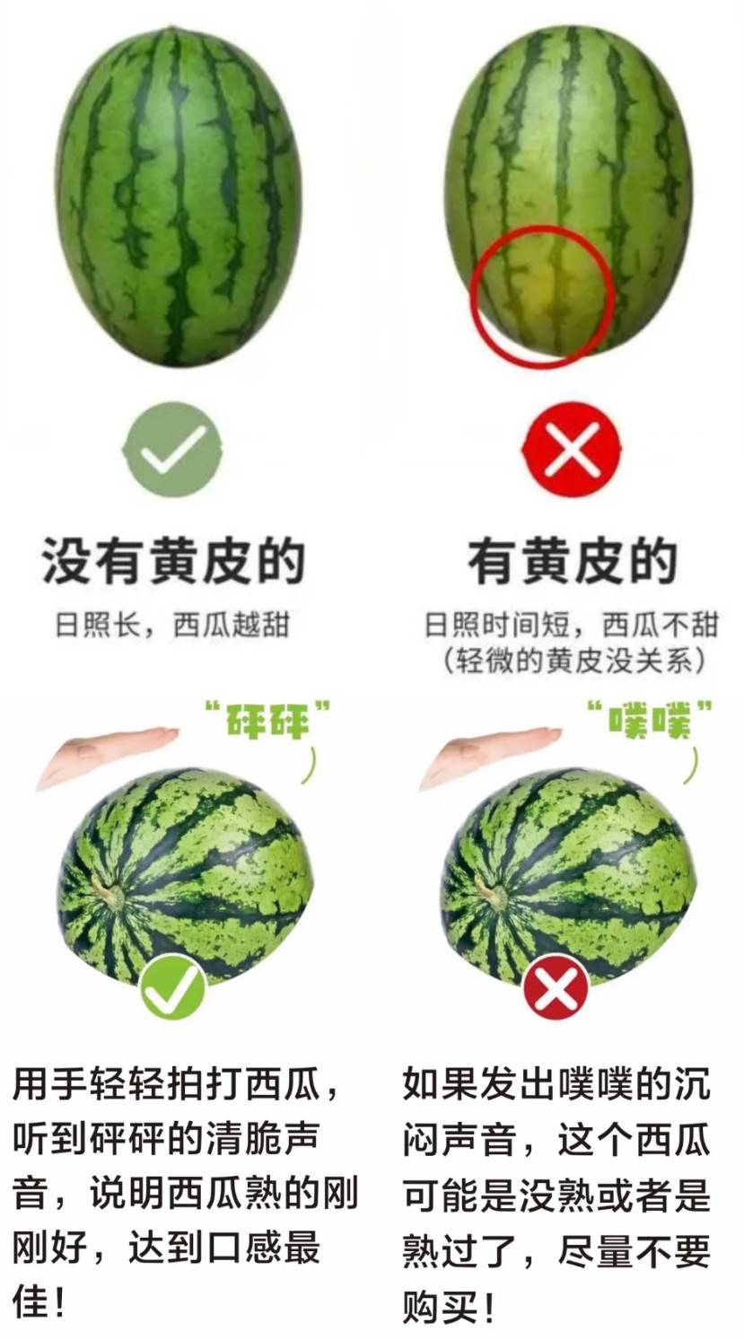 香瓜_西瓜_水果