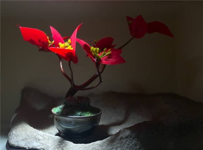 "天海繁花"24节气根艺仿真花盆景:手工匠心,意境悠长
