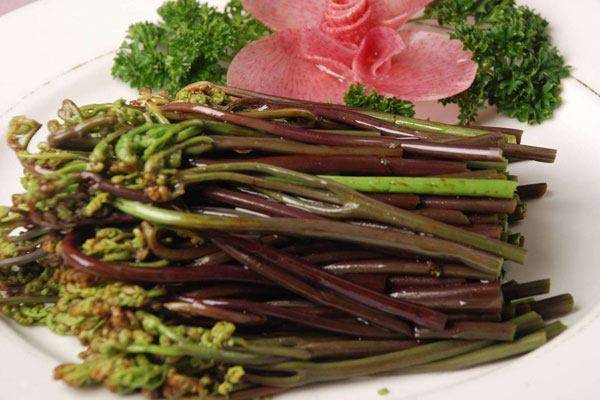 这几种长寿菜连医生都给它点赞!