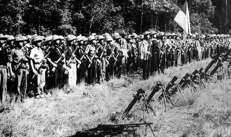 越南战争中美军为何选择撤军?原来我们都想错了_美国_越战_胜利