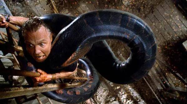 人被蟒蛇吞进肚子里,为什么手里有刀,也没有办法破腹逃出来?