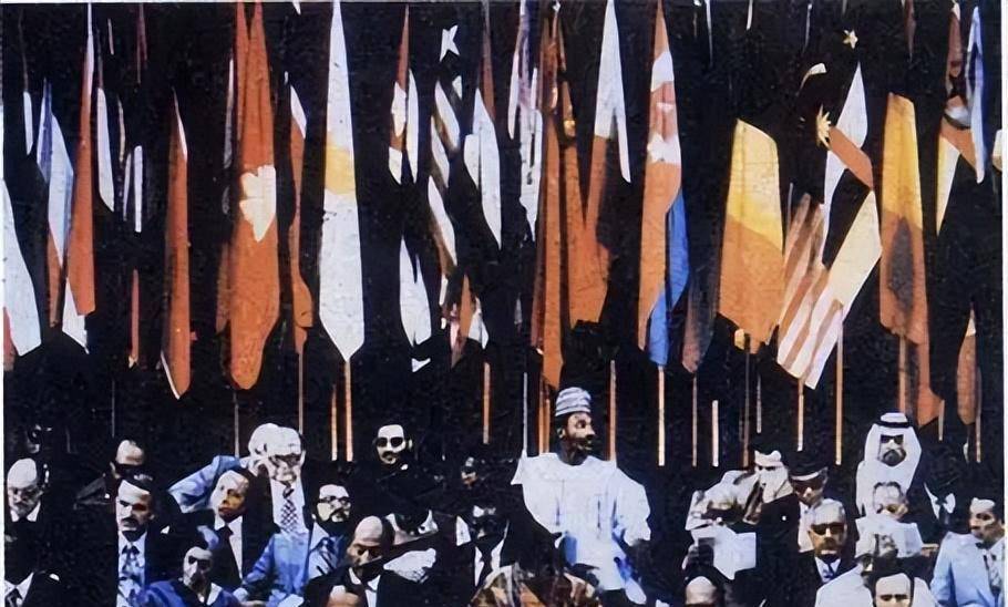 而为了维护自身独立自主的权益,一些国家掀起了轰轰烈烈的不结盟运动