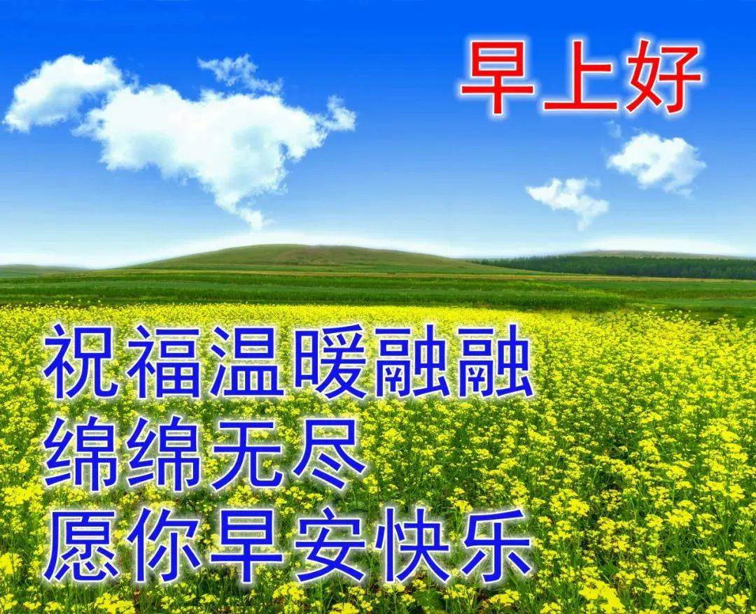 8张最新特漂亮早上好鲜花图片带字带祝福语 2024最美夏日早安问候祝福