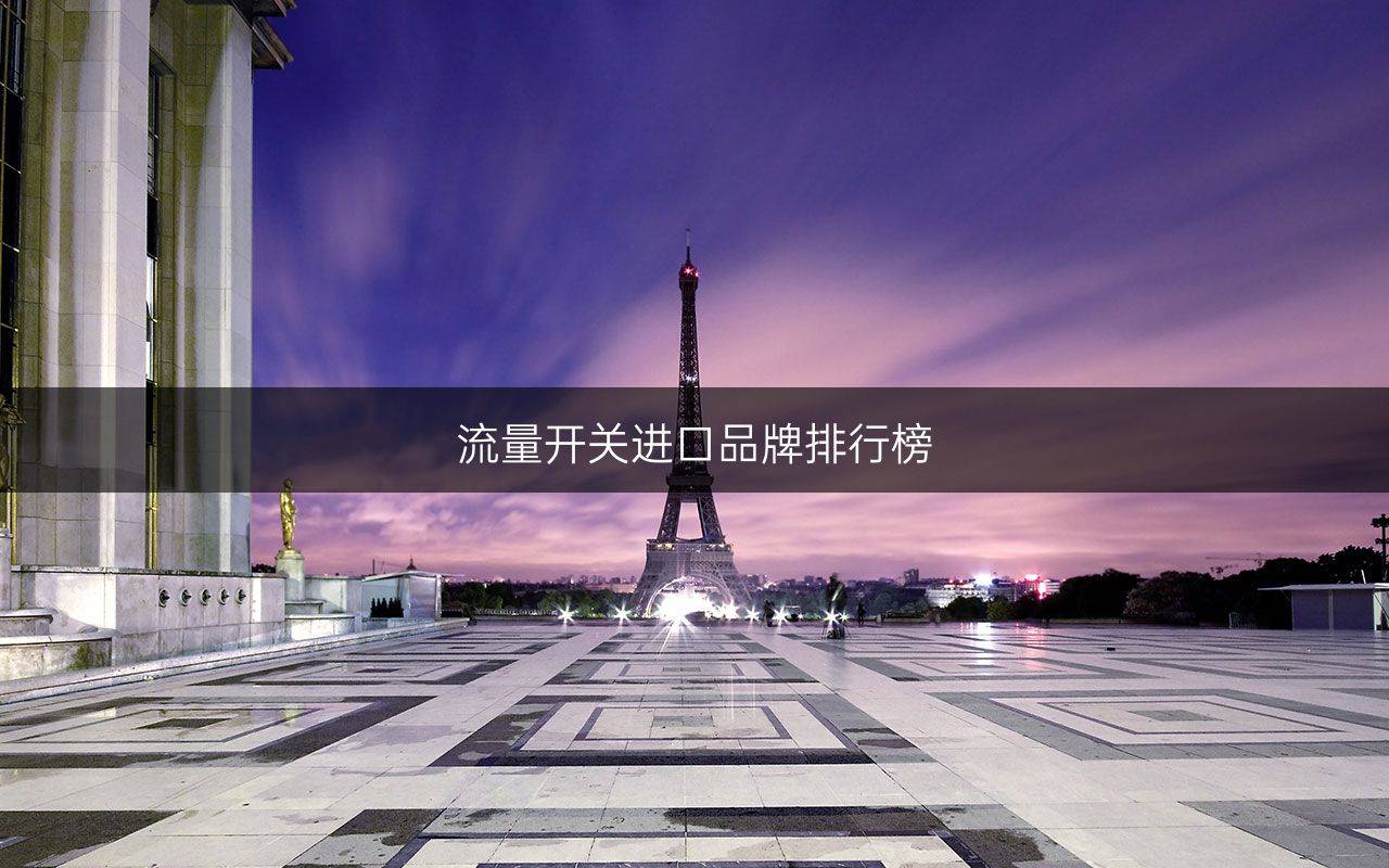 开关品牌排行榜_流量开关进口品牌排行榜