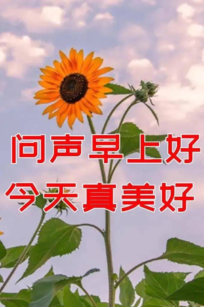 8张特别漂亮清晨早上好动图片带祝福语 免打字聊天的早安问候祝福动态