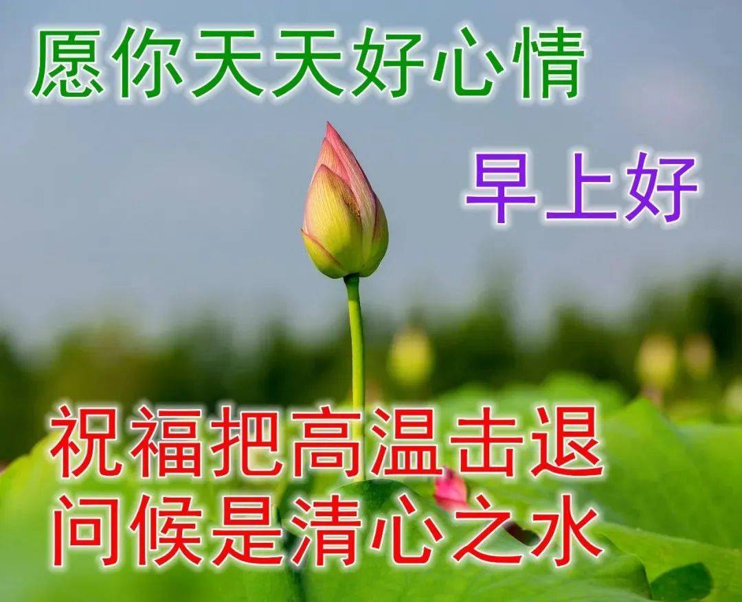今日最新早上好问候语图片 早上好图片大全温馨_生活_朋友_心情