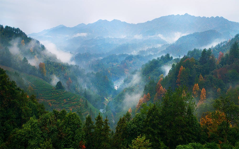 空山新雨后 背景图图片