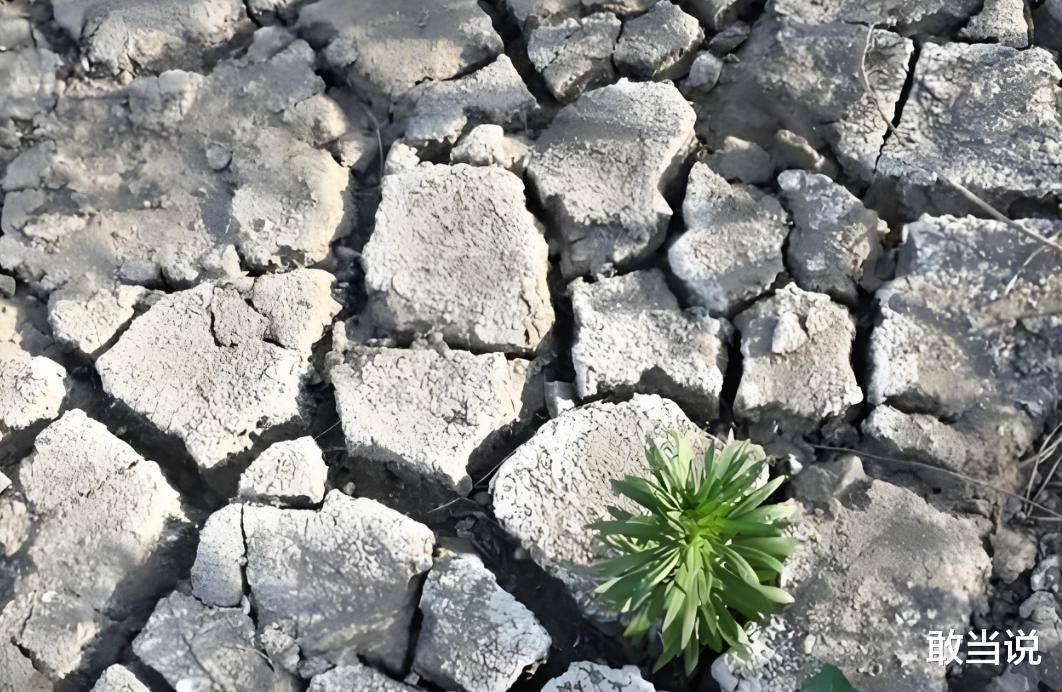 山东今年大旱,抗旱工作迫在眉睫,看山东大汉如何抗大旱!