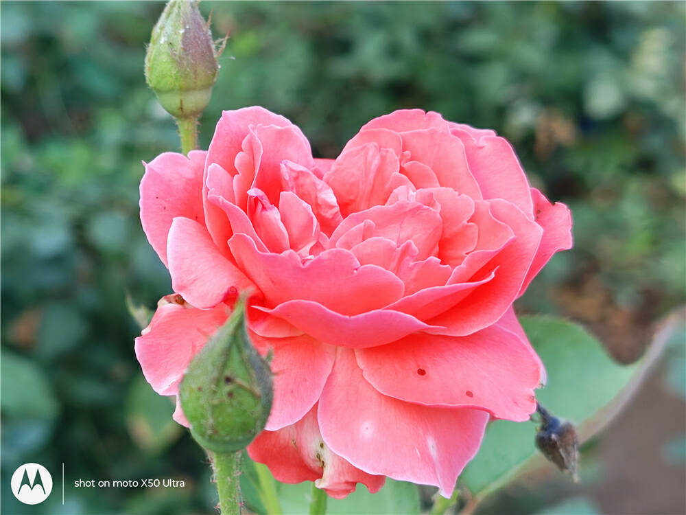 通联支付费率_通联支付费率_通联支付费率调低