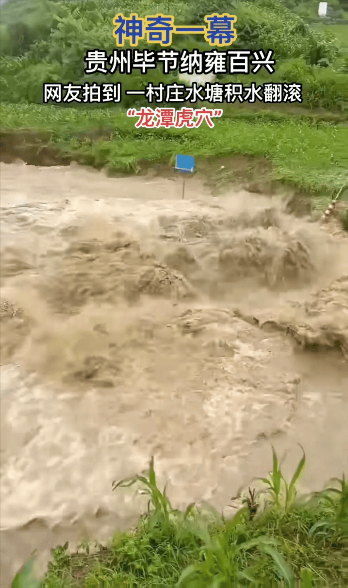 贵州毕节暴雨后一水潭翻江倒海,泥水汩汩而出,什么原因造成的?