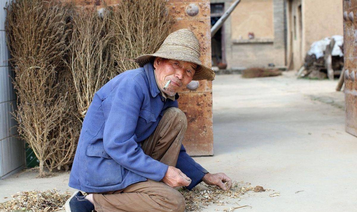 退休老人组队青岛吃海鲜,73岁河南农民扛水泥!到底打了谁的脸?