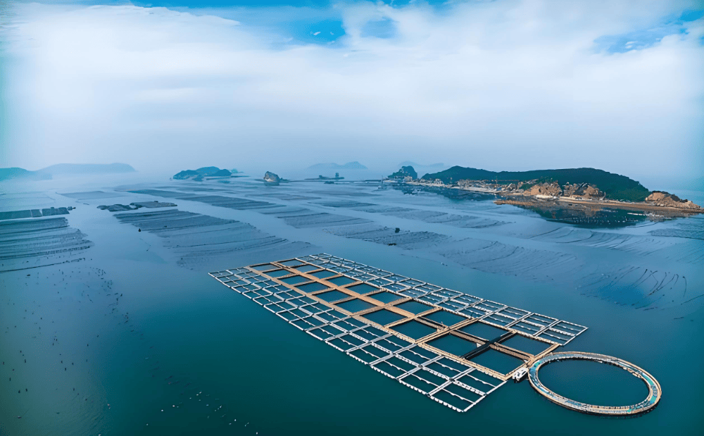 盘锦海洋牧场图片