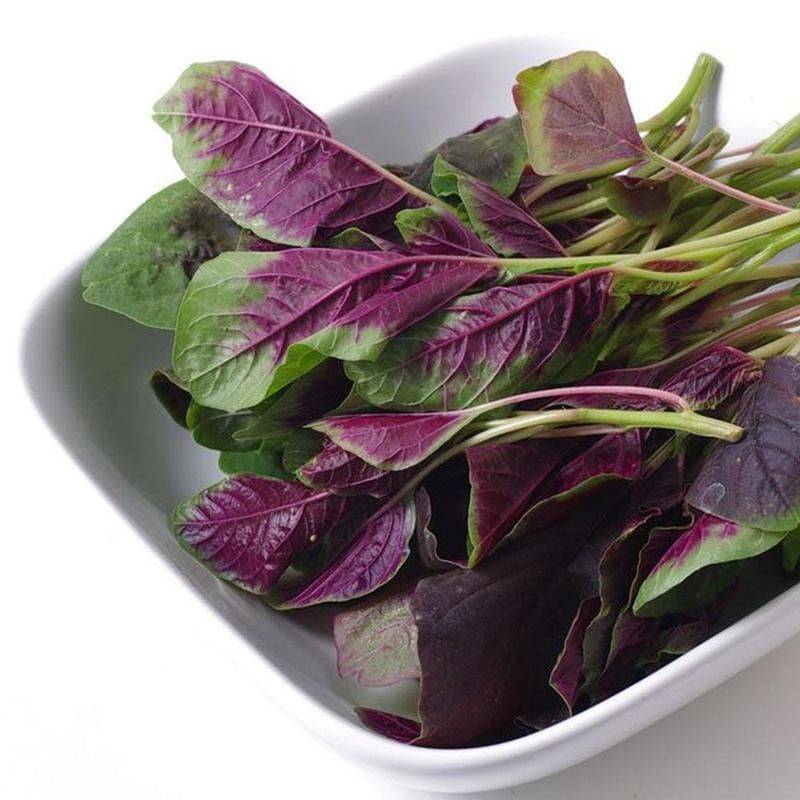 红苋菜新吃法,爆炒更添诱人风味