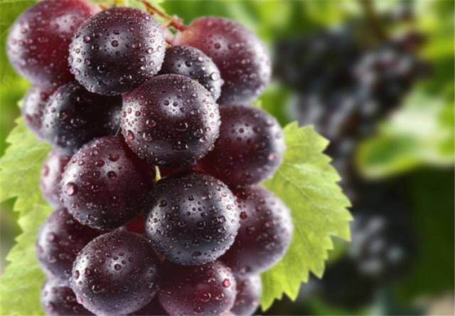 喜欢吃葡萄的人,给你提个醒:这三种葡萄别买,为了健康