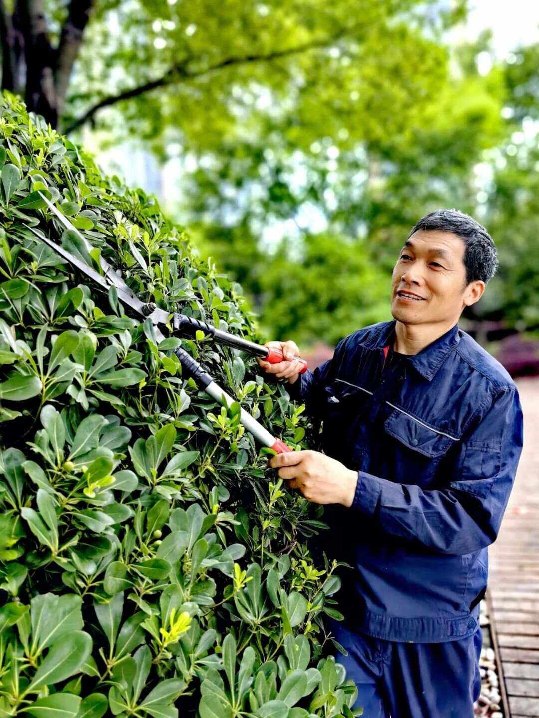 执业茶艺师证报名条件_执业证报名条件茶艺师可以考吗_执业证报名条件茶艺师怎么填