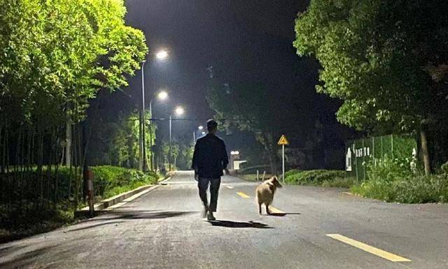 火灾发生时,林生斌的宠物狗跑哪里去了?这的确是一个疑点