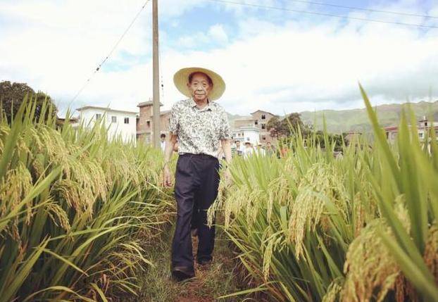 稻田守望者袁隆平 91年的逐粮梦