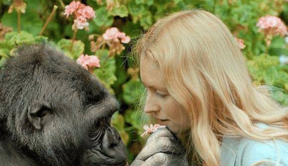 苏联当年开展"人猿杂交"实验,招募5位女性,最终结果如何?