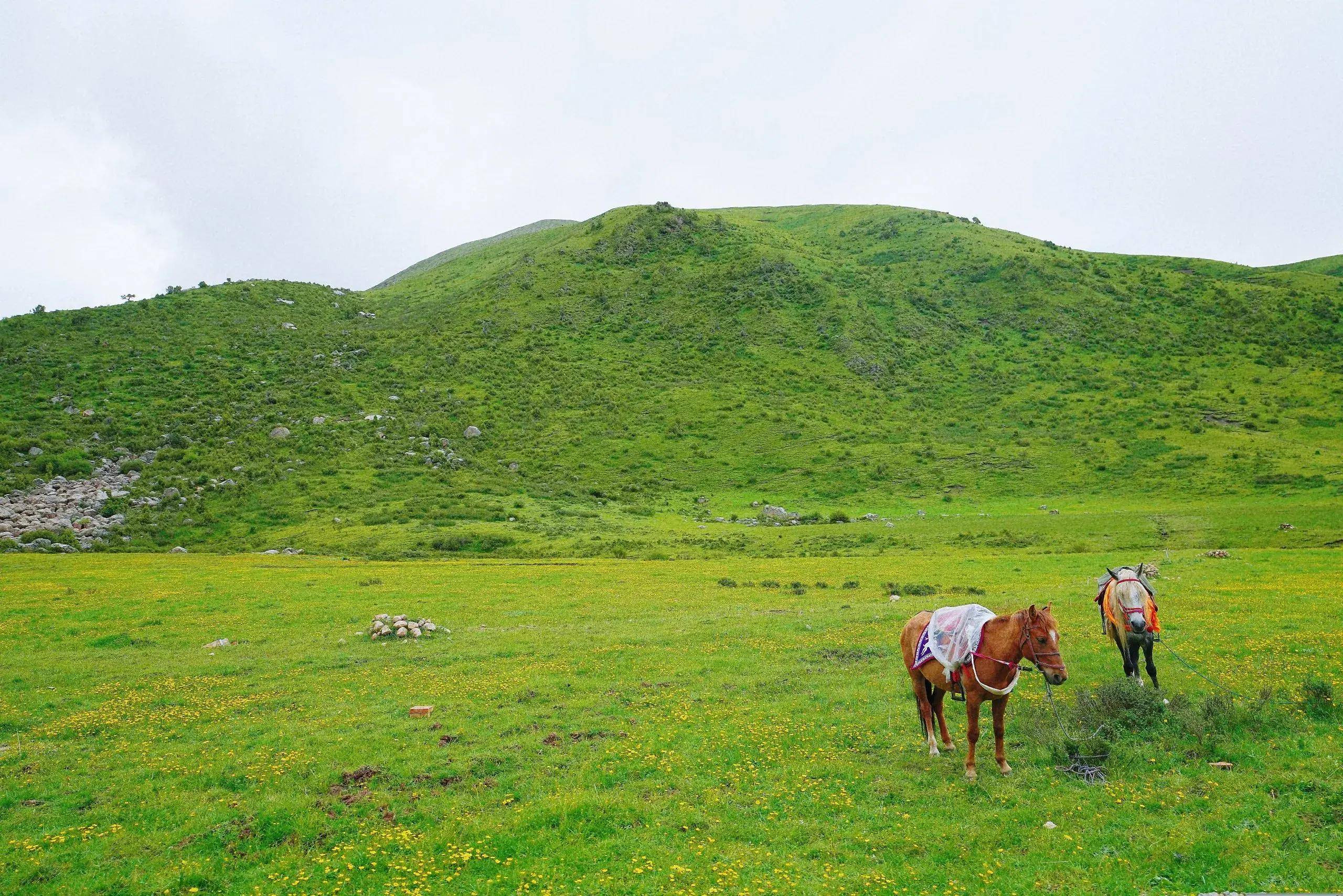遗落在人间的仙境之地:四川阿坝的莲宝叶则