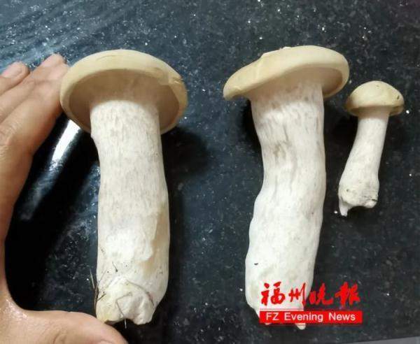 大意了!女子网购1斤见手青1天吃完后中毒-江苏女子网购14万手镯事件